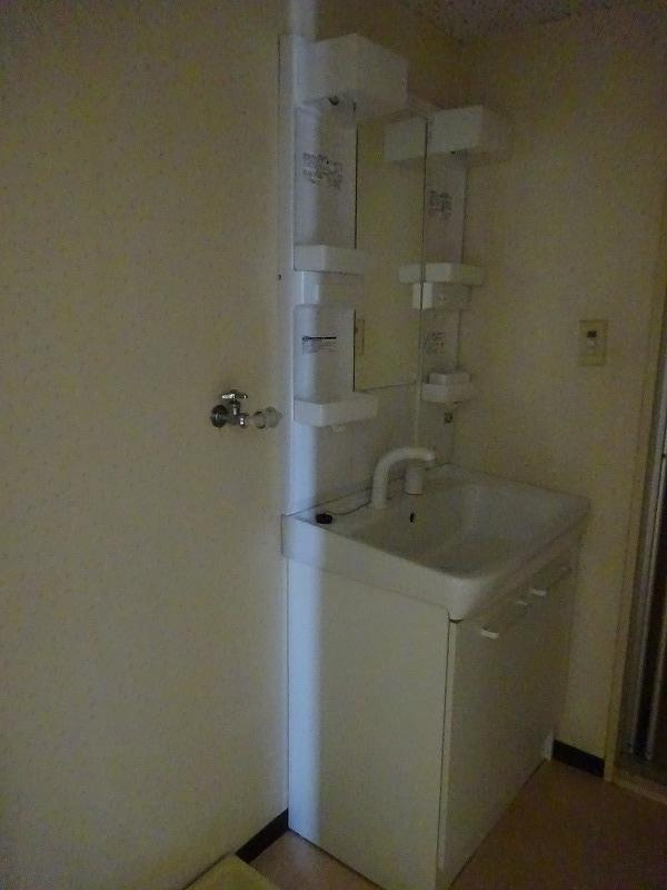 レジデンス島B棟の洗面所