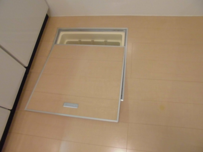 アスティオンⅡのその他