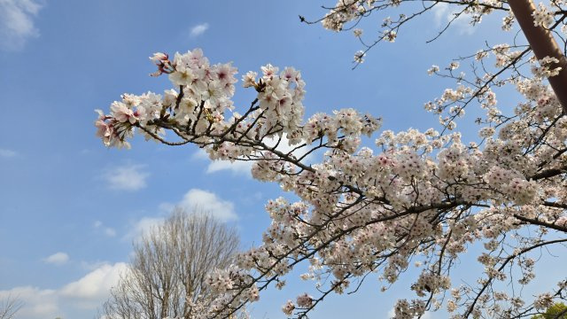 茨木市東奈良1丁目　建築条件無し売土地