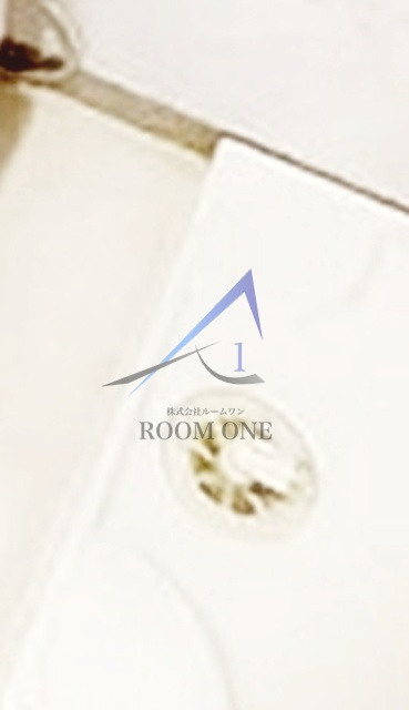 ガラ・グランディ西新宿のその他|洗濯機置き場です。