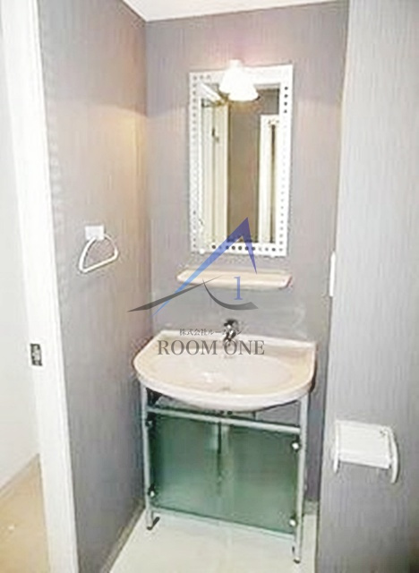 ガラ・グランディ西新宿の洗面所|洗面台です。