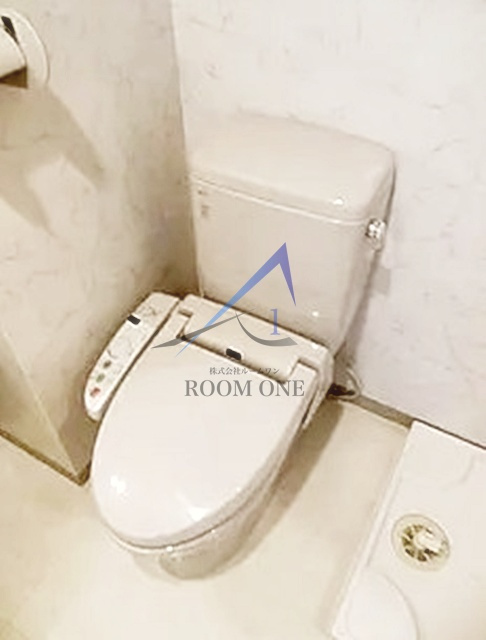 ガラ・グランディ西新宿のトイレ|トイレです。