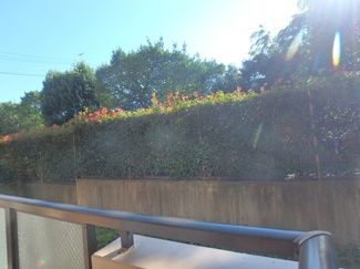 【展望】 | サンモリッツ宮崎台 | 南展望　