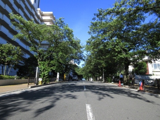 【周辺】 | サンモリッツ宮崎台 | 宮崎台駅