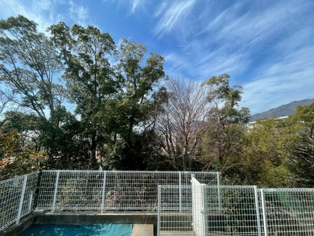 ヒルサイド御影の展望