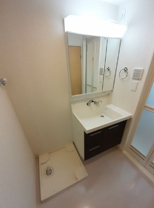 スピティ根津の洗面所