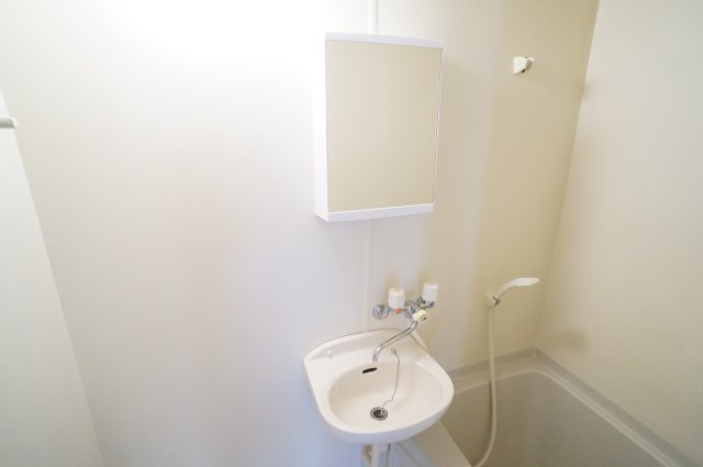 シャトー・ドゥ・クリヨンの洗面所