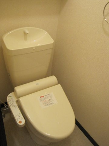 レオネクストグレイスヒカリのその他