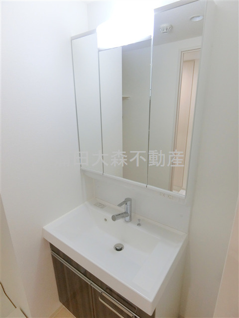 ルフレ田園調布南の洗面所