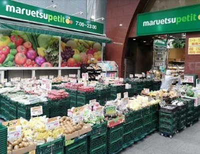 【その他】 | グリンヒル本郷元町