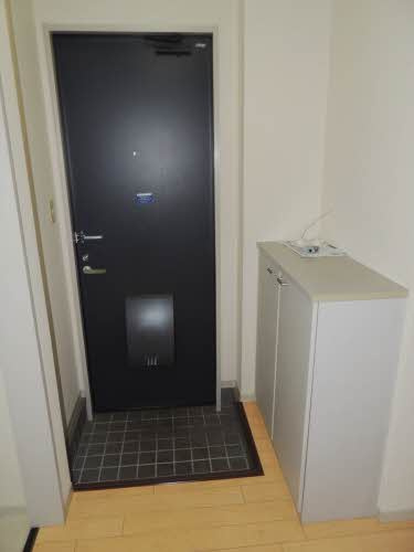 フォーレスKEI　C棟の玄関|※同タイプの部屋写真です