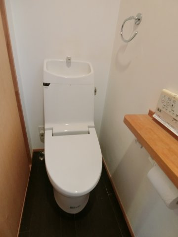 大篠津中古物件　建物2棟のトイレ