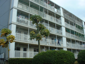 相模原田名　5号棟の画像