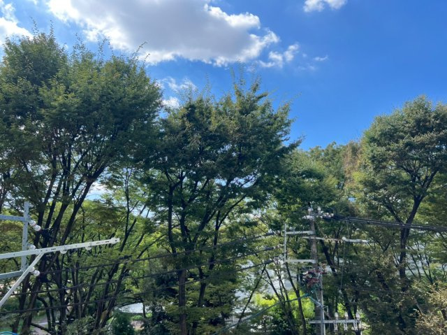 パークゲート栄白川|名古屋市の賃貸ならMy賃貸の展望|パークゲート栄白川
※反転