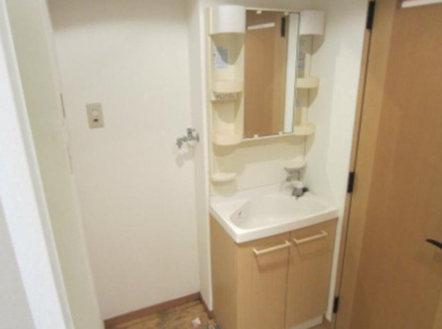 グリーンヴィレッジの洗面所