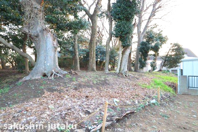 鷺沼１丁目　売地のその他|南側隣地は神社につき開放的