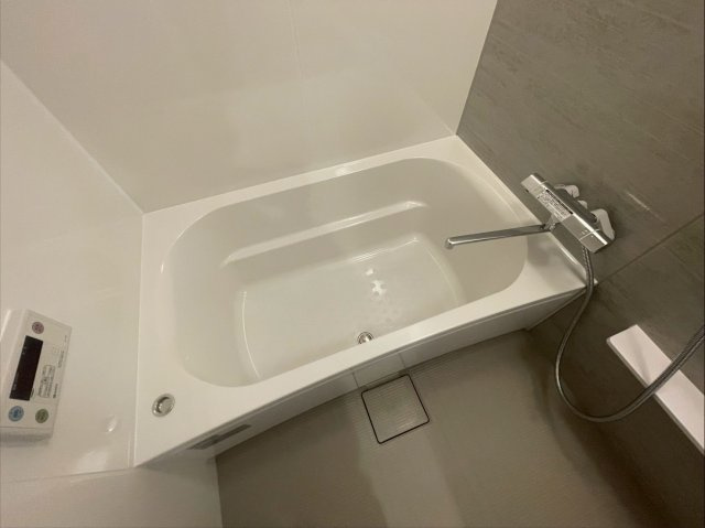 Park Lane Kujoの浴室