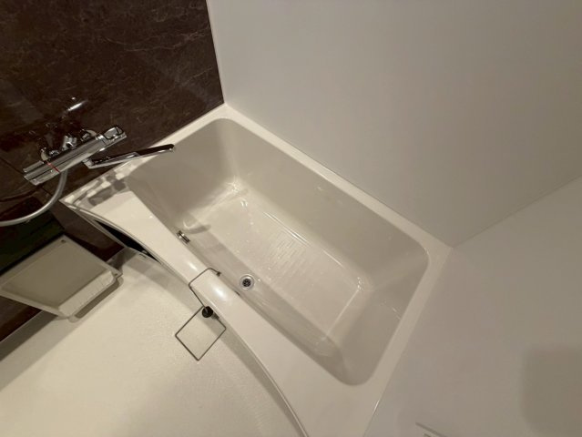 エスリードレジデンス　ザ・グラン南堀江の浴室