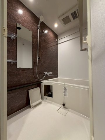 エスリードレジデンス　ザ・グラン南堀江の浴室