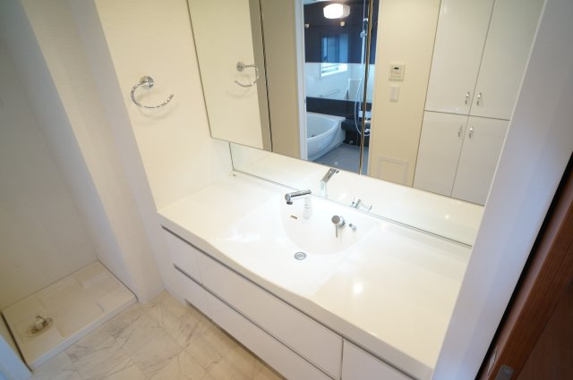 レイセニット奈良グラン・ヴェルジェの洗面所