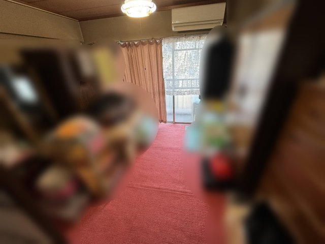 向島ダイヤマンションの和室|和室