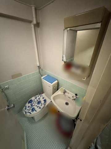 向島ダイヤマンションのトイレ|洗面台・トイレ