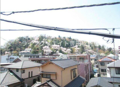 【展望】 | ヴィラ・フェレイロ