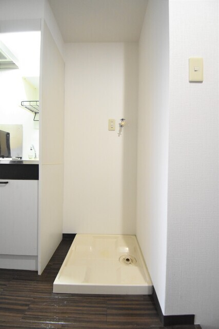 Rosa Candoreのその他