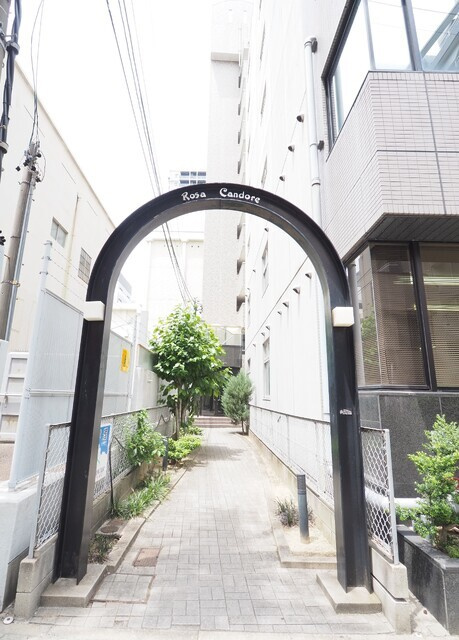 Rosa Candoreのその他