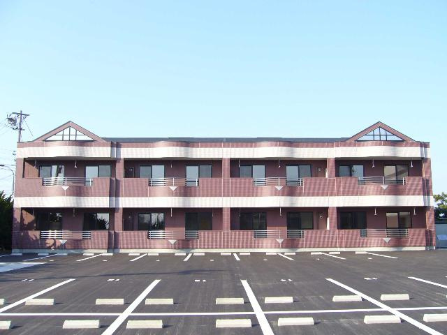 サイネリア－ＫⅠ