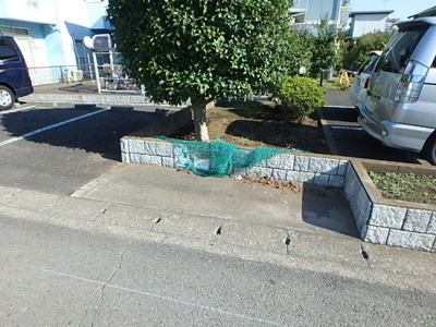 ゴミ捨て場