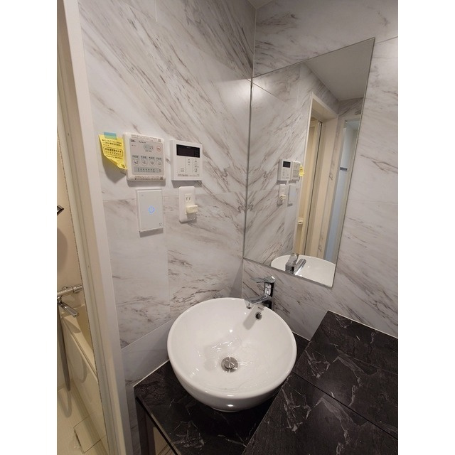 アムス早稲田（旧La Blancheur 早稲田）の洗面所