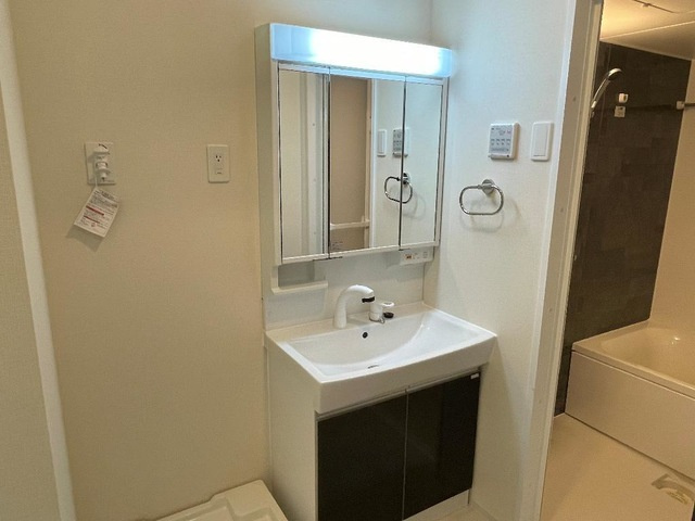 メゾンドカラーズの洗面所