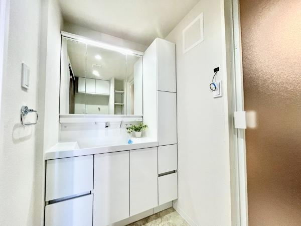 メイフェアパークス溝の口C棟の独立洗面台