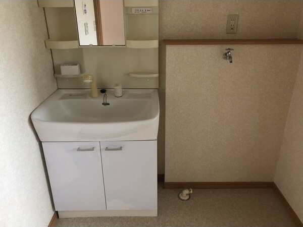 水沢ステーションアベニューG棟の洗面所