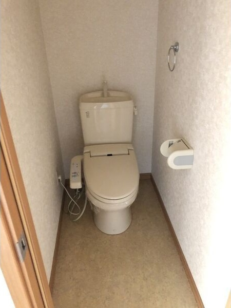 水沢ステーションアベニューG棟のトイレ