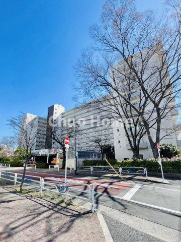 宇喜田住宅の現況写真|現況写真