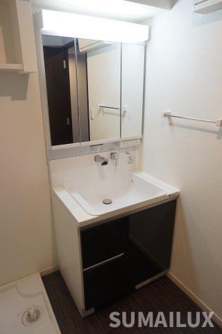 ニューガイア水前寺の洗面所