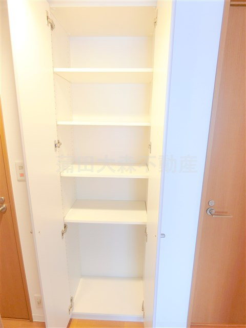 JOYCE COURTジョイスコートの洋室|廊下洗面所手前の収納