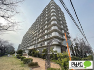 南門真ハイライフの画像