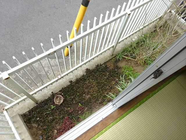 ハイム工藤の庭