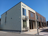 ルピナス　Ａの画像