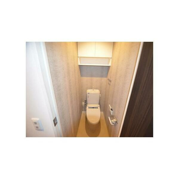 フロンティア・グリーンフォートのトイレ