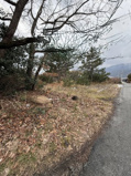 北比良貸地の画像