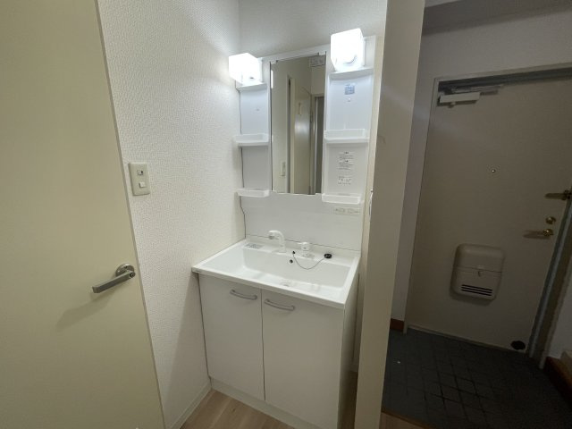 セルサス大道壱番館の洗面所