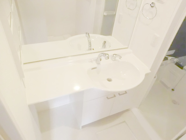 アルファⅢの洗面所|独立洗面台です