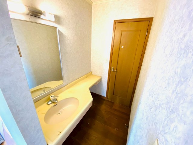 富里市立沢新田戸建の独立洗面台