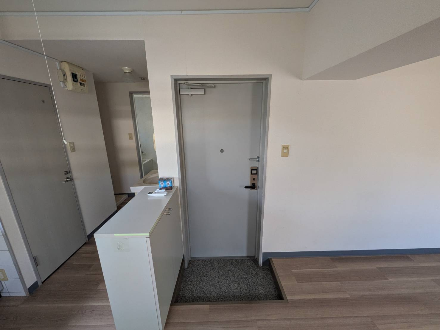 ブランニューウェイブのその他