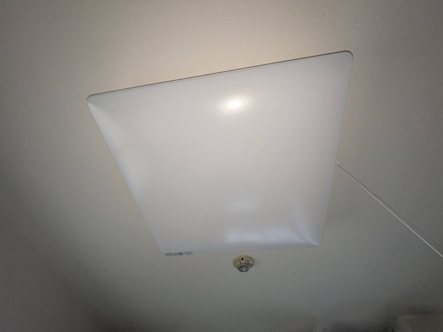 ブランニューウェイブの設備