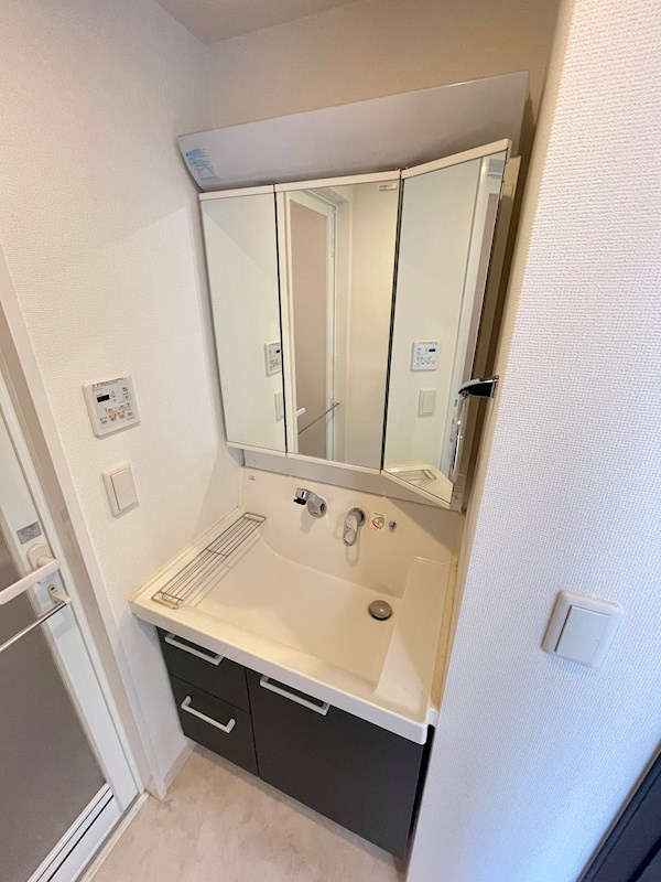 エステムコート神戸ハーバーランド前Ⅴアクアの洗面所